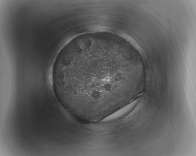 X0000102311031200808081601