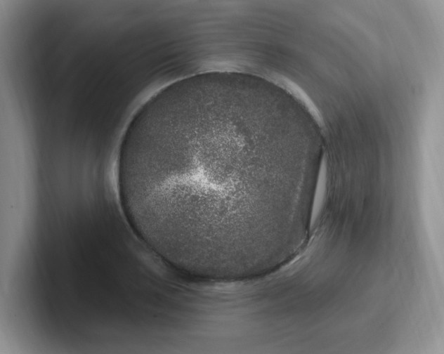 X0000102311035200808081601