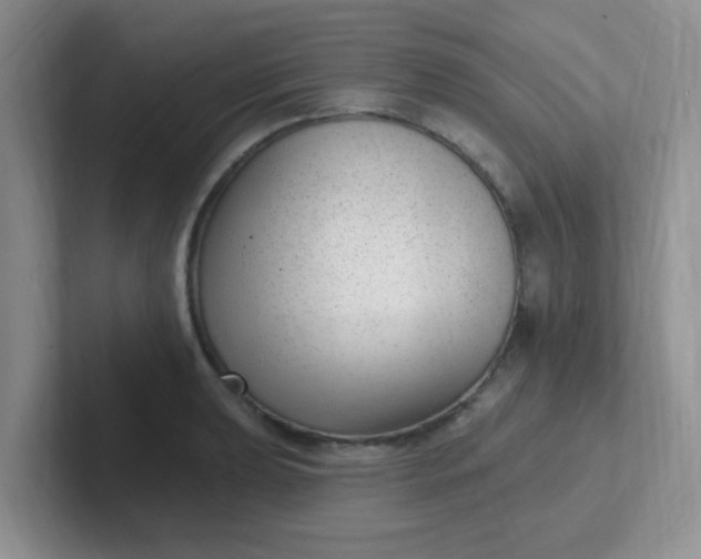 X0000102311039200808081601