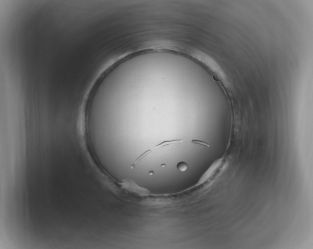 X0000102311040200808081601