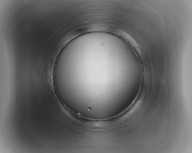 X0000102311041200808081601