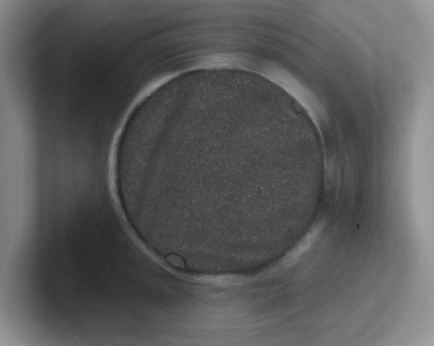 X0000102311045200808081601