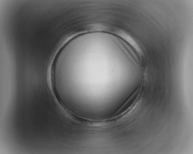 X0000102311047200808081601