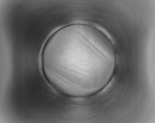 X0000102311048200808081601