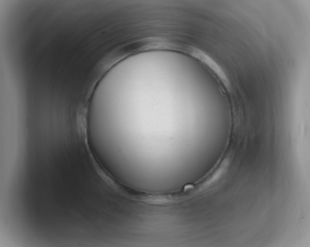 X0000102311049200808081601