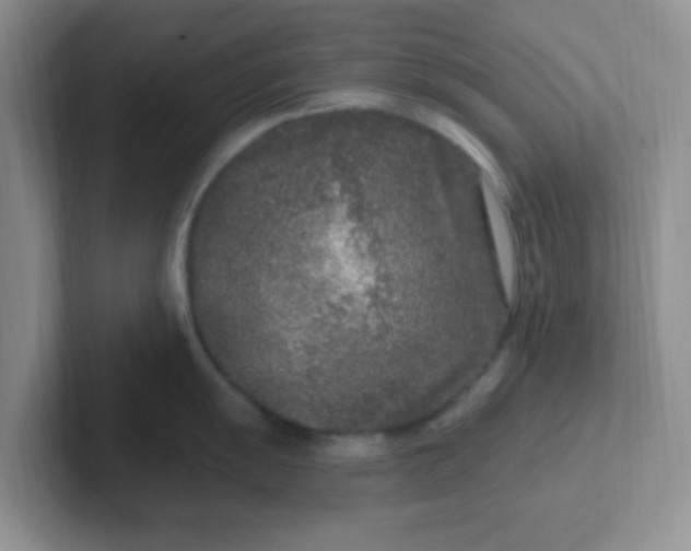 X0000102311055200808081601