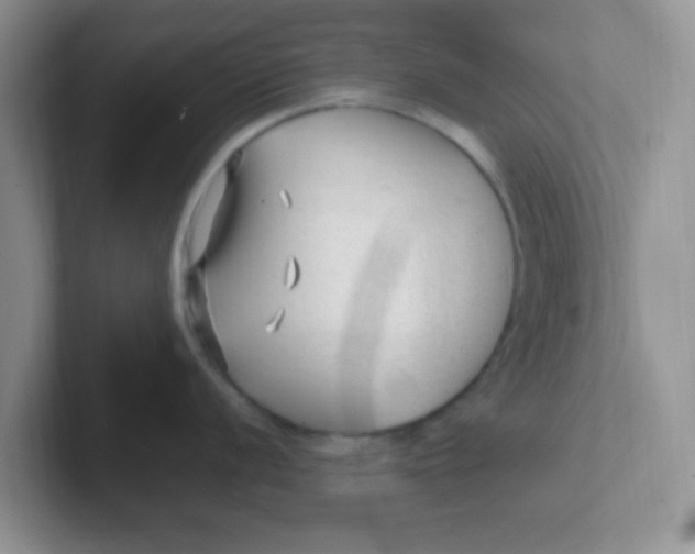 X0000102311056200808081601