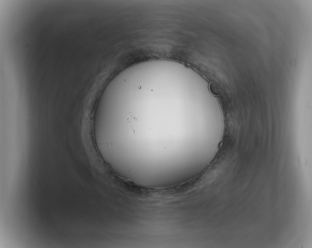 X0000102311057200808081600