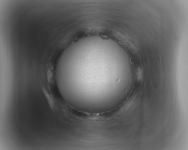 X0000102311059200808081600