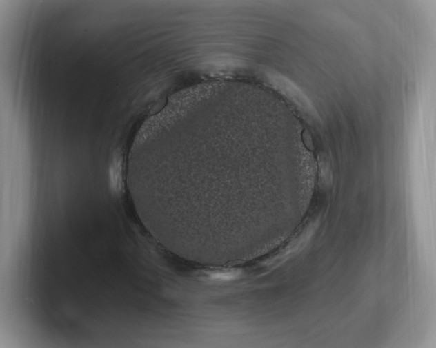 X0000102311060200808081600