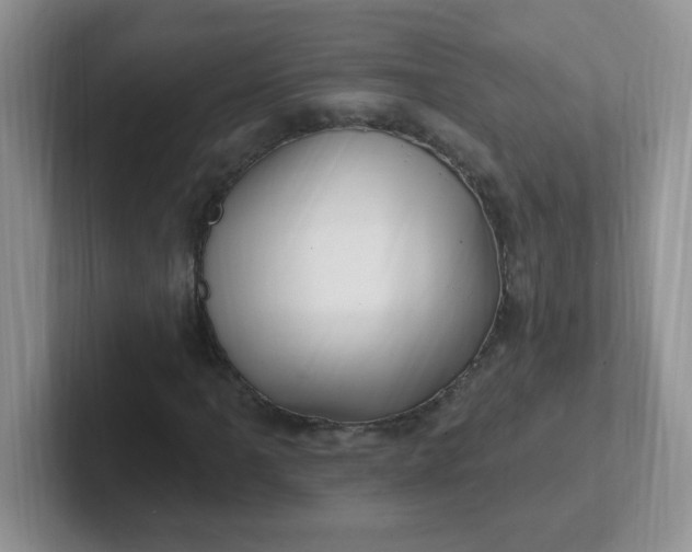 X0000102311061200808081600