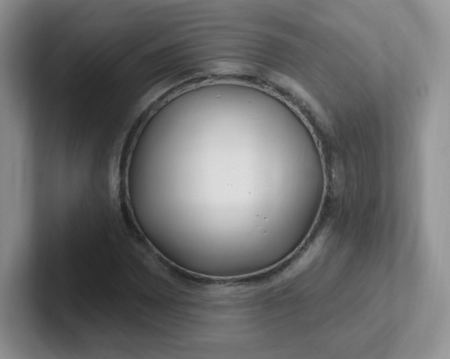 X0000102311065200808081600