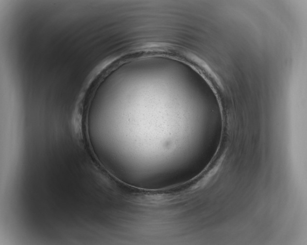 X0000102311066200808081600