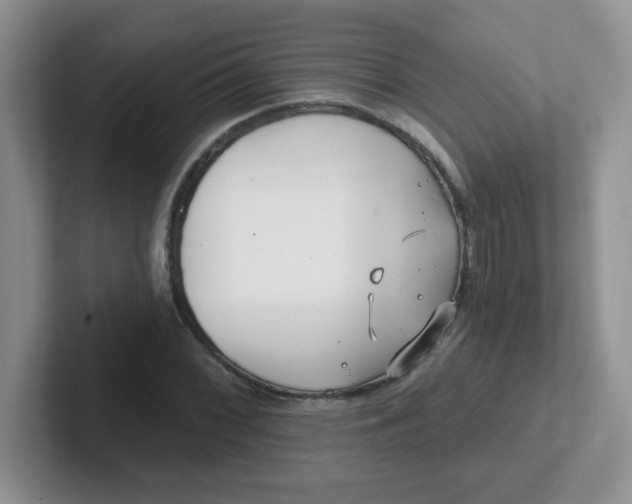 X0000102311068200808081600