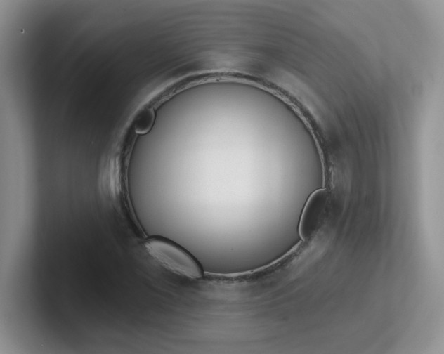 X0000102311069200808081600