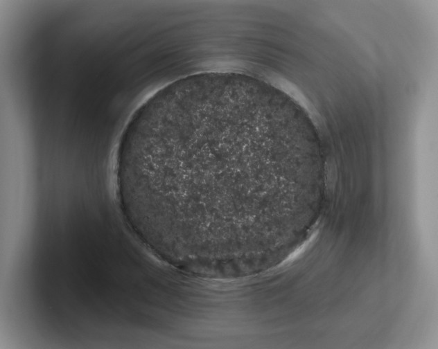 X0000102311071200808081600