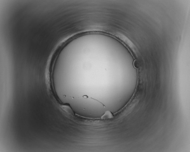 X0000102311072200808081600