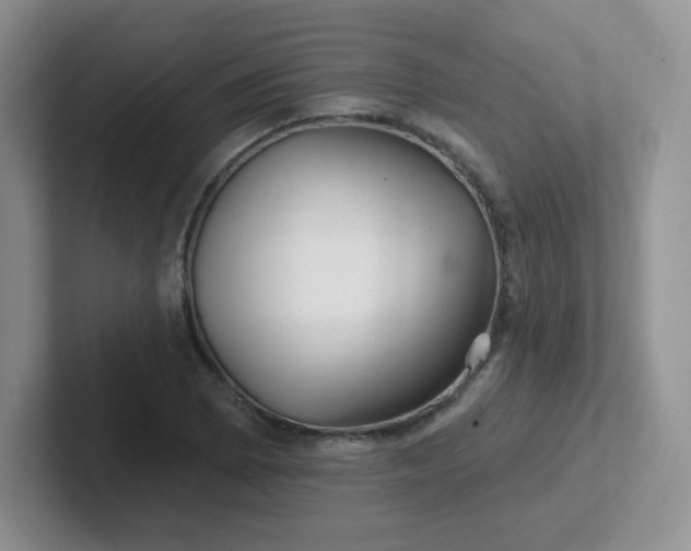 X0000102311073200808081600