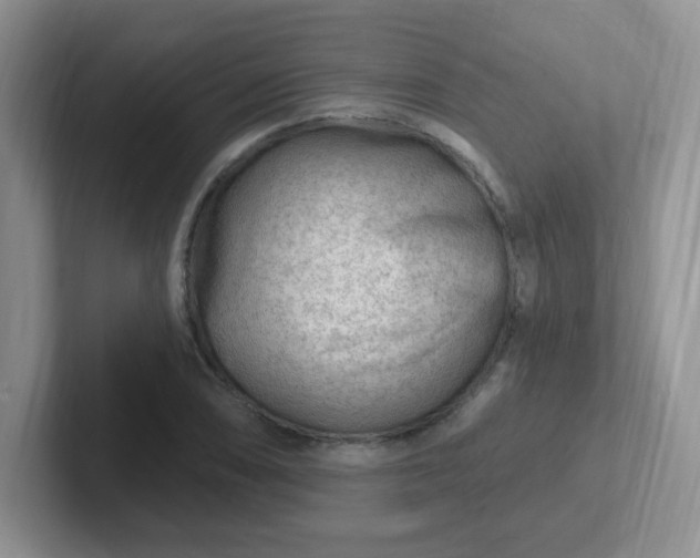 X0000102311074200808081600