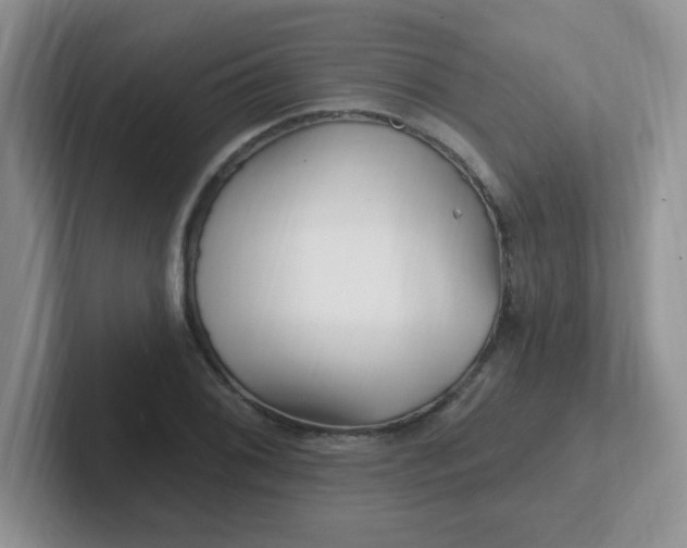 X0000102311076200808081600