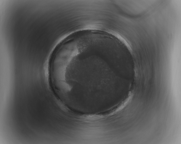 X0000102311077200808081600