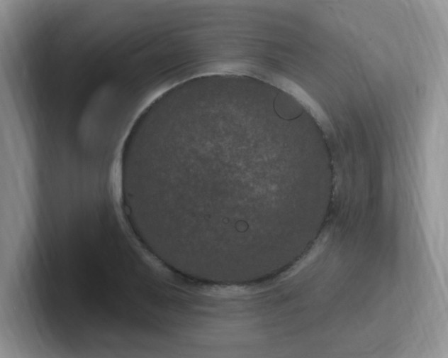 X0000102311079200808081600