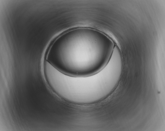 X0000102311080200808081600