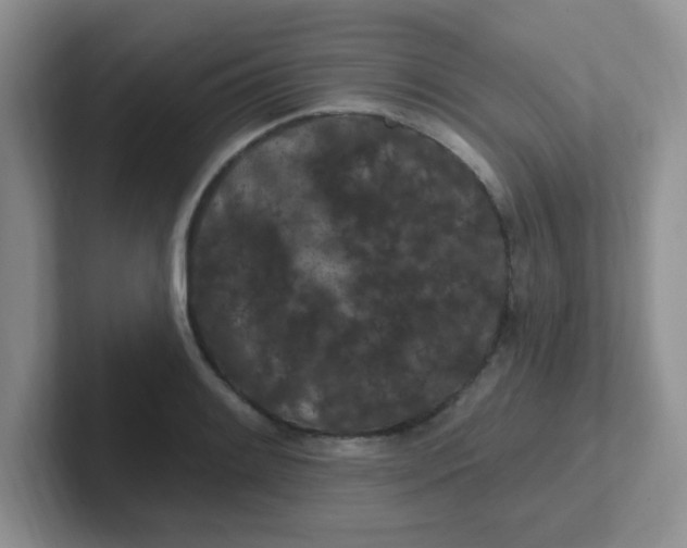 X0000102311084200808081600