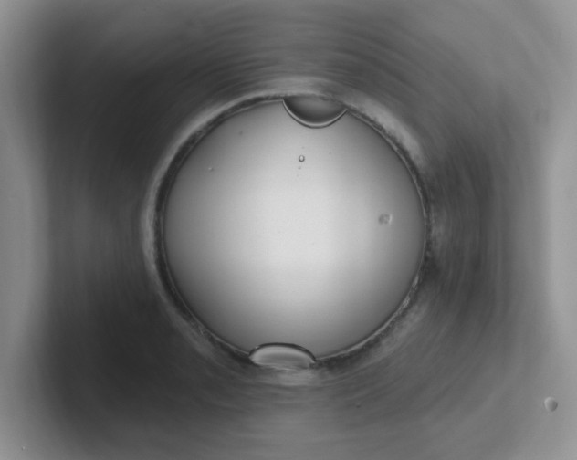 X0000102311085200808081600