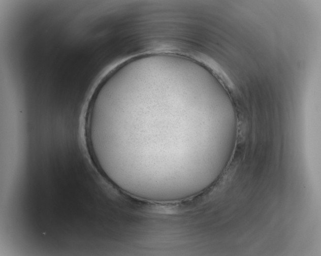 X0000102311086200808081600