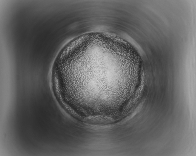 X0000102311087200808081600