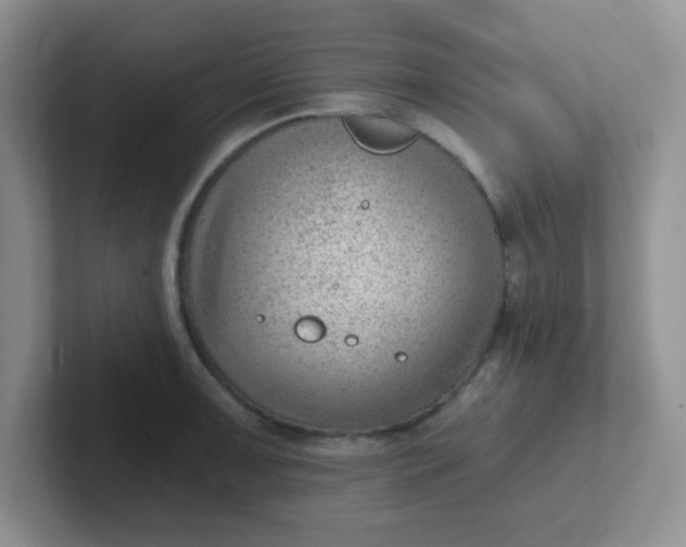 X0000102311091200808081600