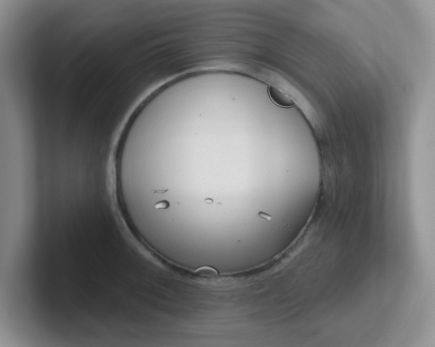 X0000102311092200808081600