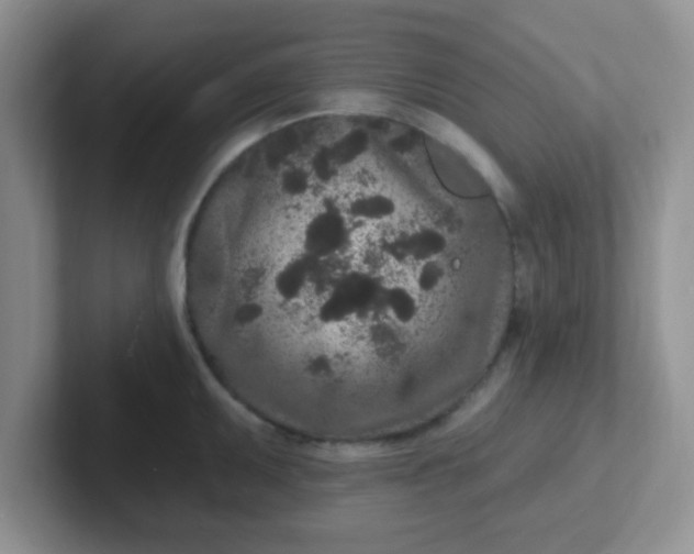 X0000102311095200808081600