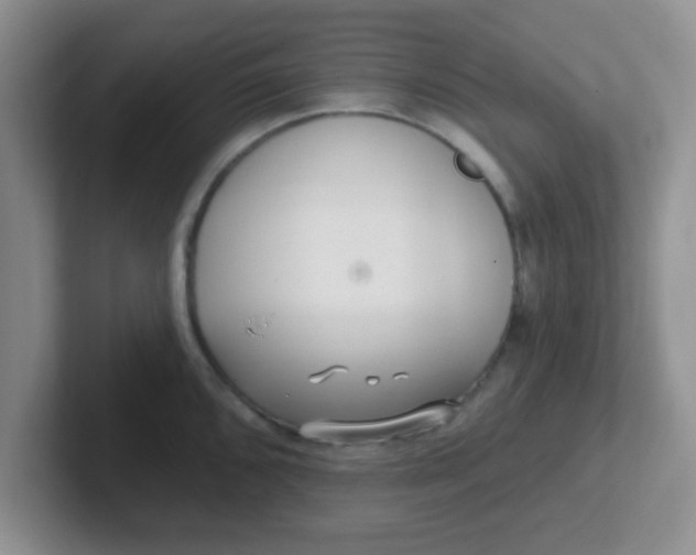 X0000102311096200808081600