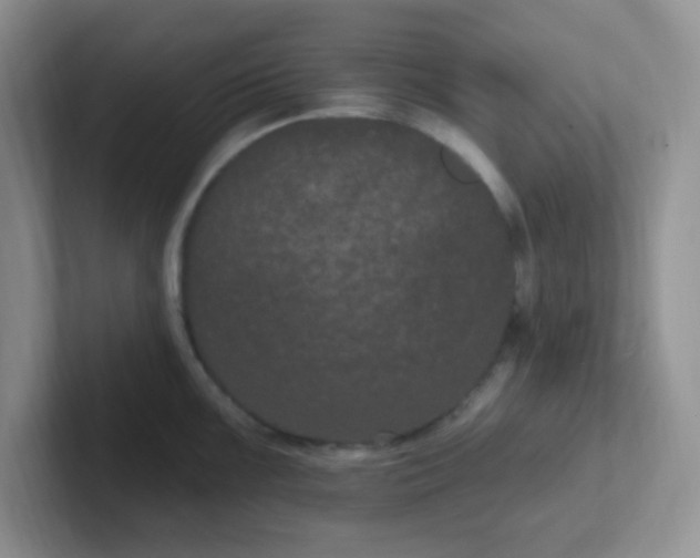 X0000102311099200808081600