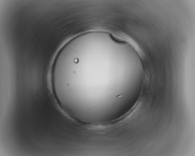 X0000102311100200808081600