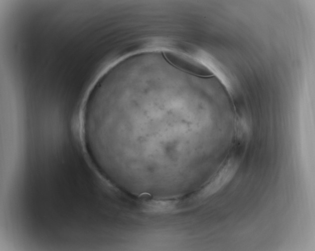 X0000102311101200808081600