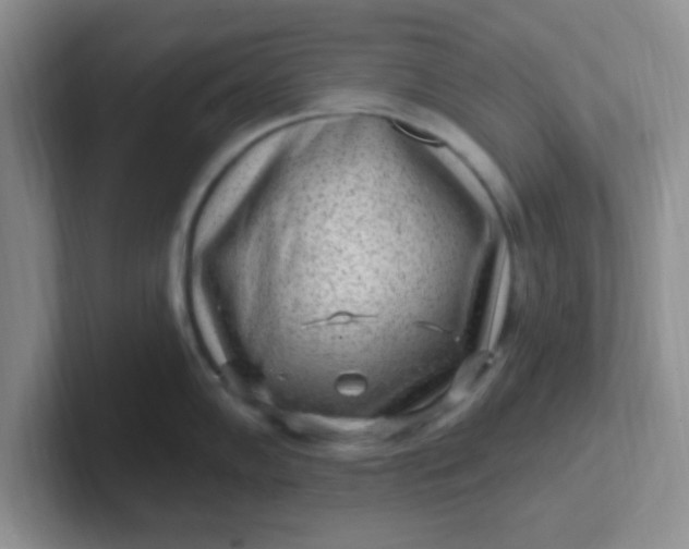 X0000102311102200808081600