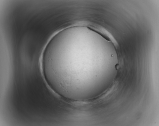 X0000102311103200808081600