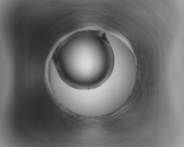 X0000102311104200808081600