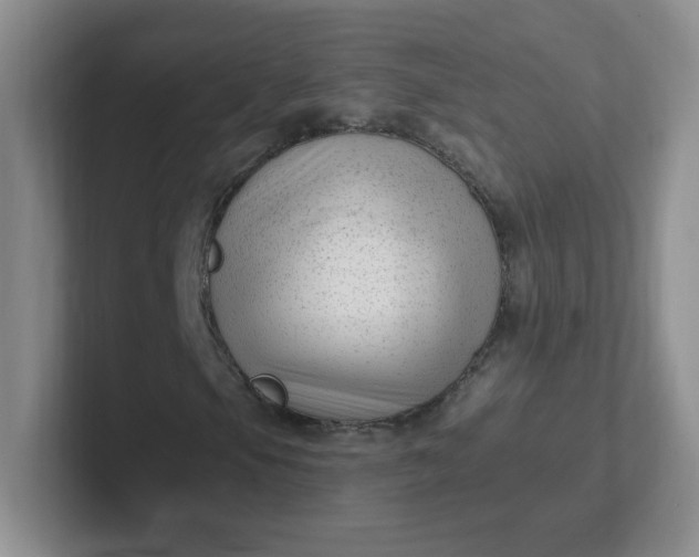 X0000102311105200808081559