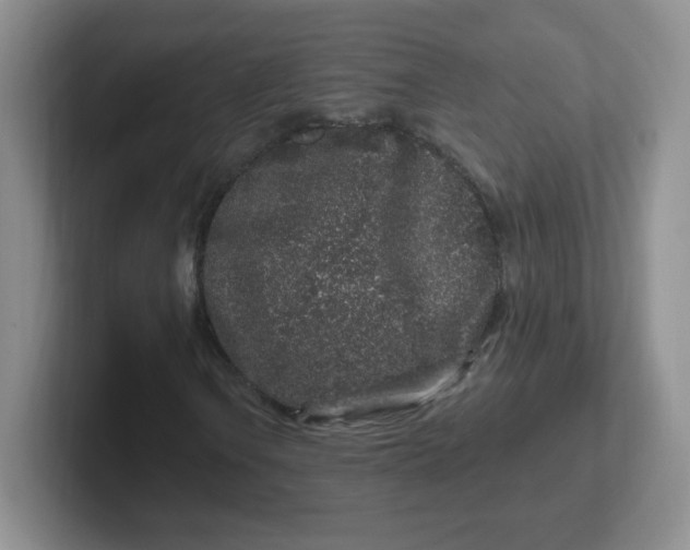 X0000102311106200808081559