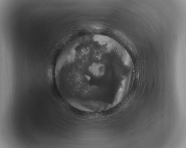 X0000102311108200808081559