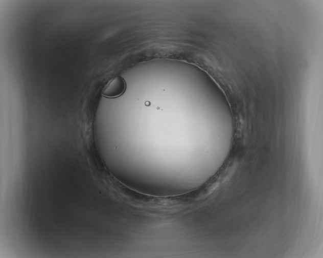 X0000102311109200808081559