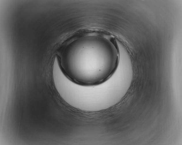 X0000102311110200808081559