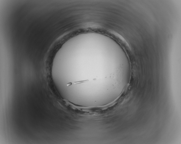 X0000102311112200808081559