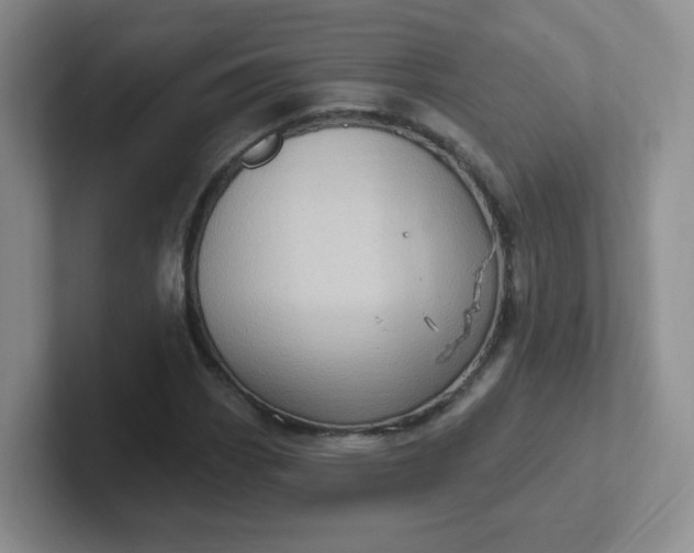 X0000102311113200808081559