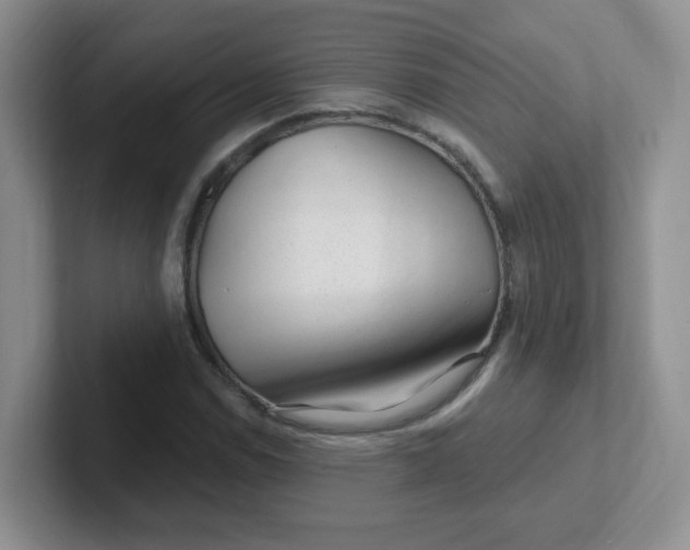 X0000102311114200808081559