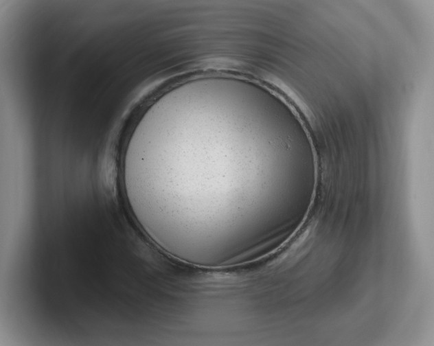 X0000102311115200808081559